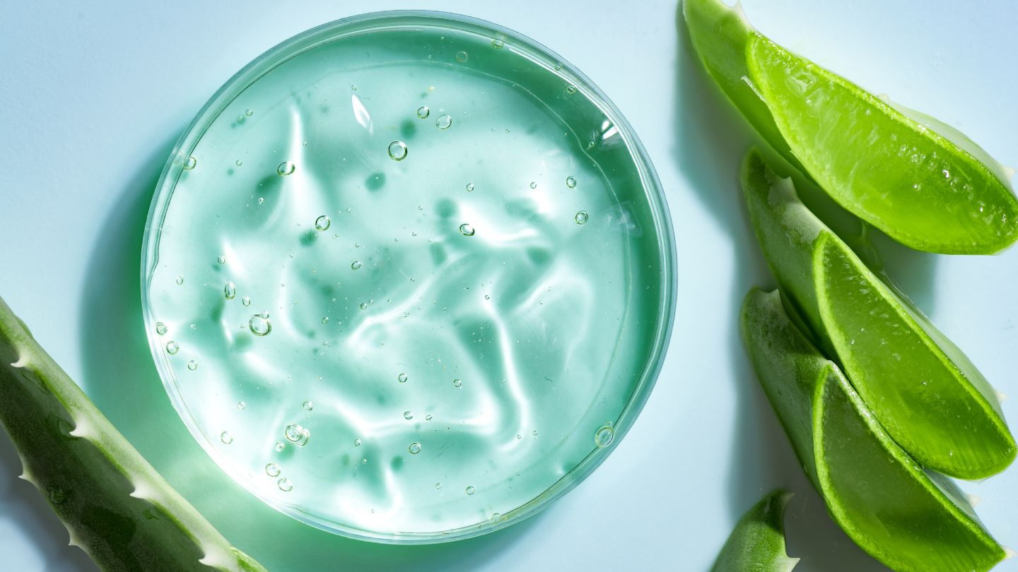Les bienfaits de l'aloe vera pour les cheveux - Beaute Eternelle